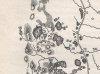 1874 Карта озёр Сабанеева-1.jpg