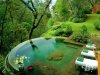 Бассейн в номере отеля на острове Бали, Индонезия.jpg