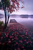 Lake Dock, Тысяча островов, Канада.jpg