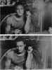 Марлон Брандо, 1951 год.jpg