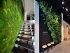 post_AD-Moss-Walls-Green-Interior-Design-Trend-04______.jpg