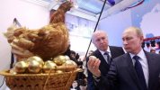 Яйцо сейчас достигает свою «справедливую цену», — директор птицефабрики Андрей Дымов..jpg