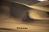 Camel_Caravan_Passes_Through_the_.jpg