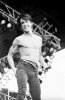 393px_iggy_pop___pinkpop87.jpg