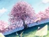animu.ru-anime-scenery-landscape-(1024x768)-wallpaper-053.jpg