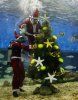 sea-christmass-tree.jpg