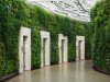 post_garden-tremendous-green-wall-with-white-wooden-door-design-below-modern-structure-transpa...jpg