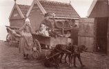 1906 год. Собачья повозка, Волендам, Нидерланды, около.jpg